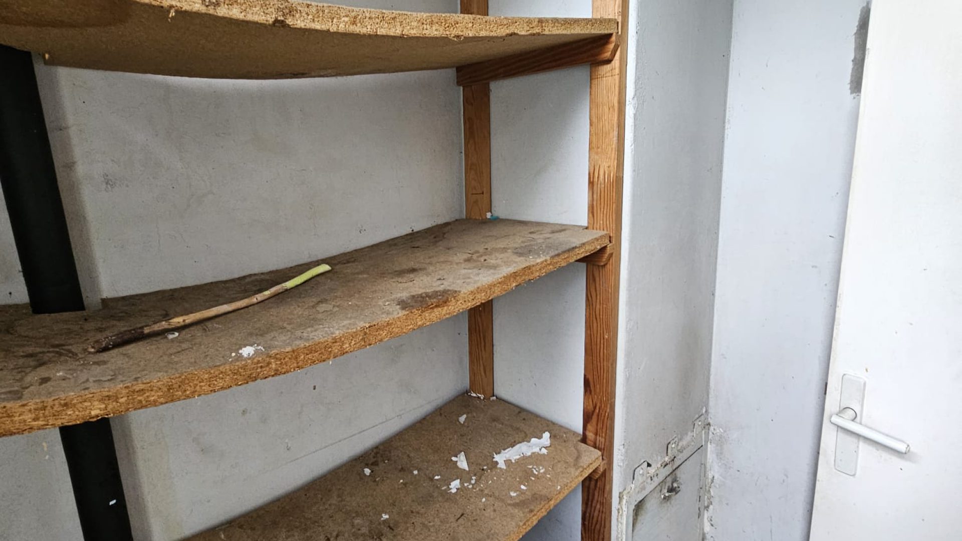 Copie de WhatsApp Image 2024-04-24 at 15.20.58 (1)