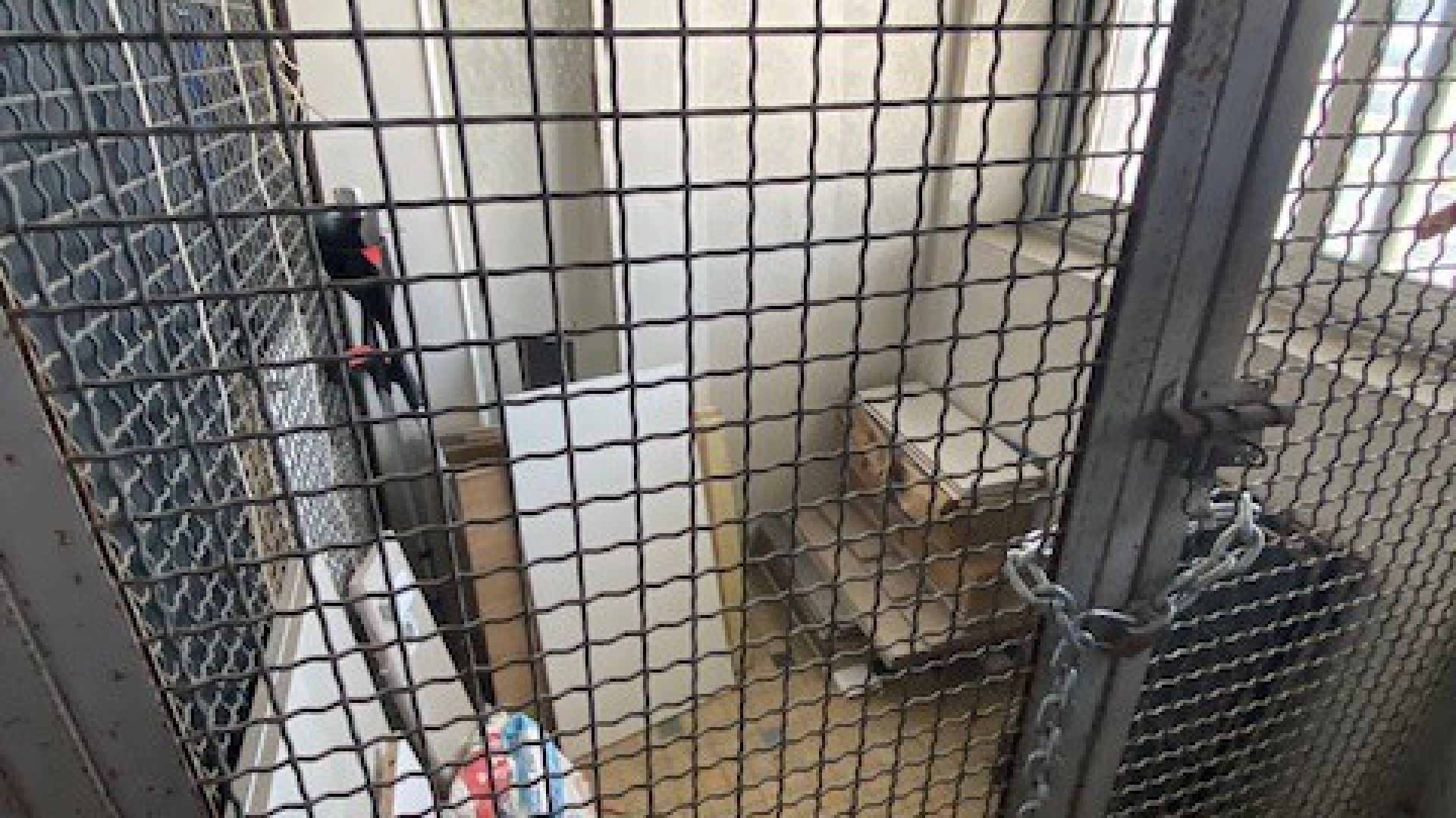 Image-Compressor.org_1500KB_Copie de IMG_2310