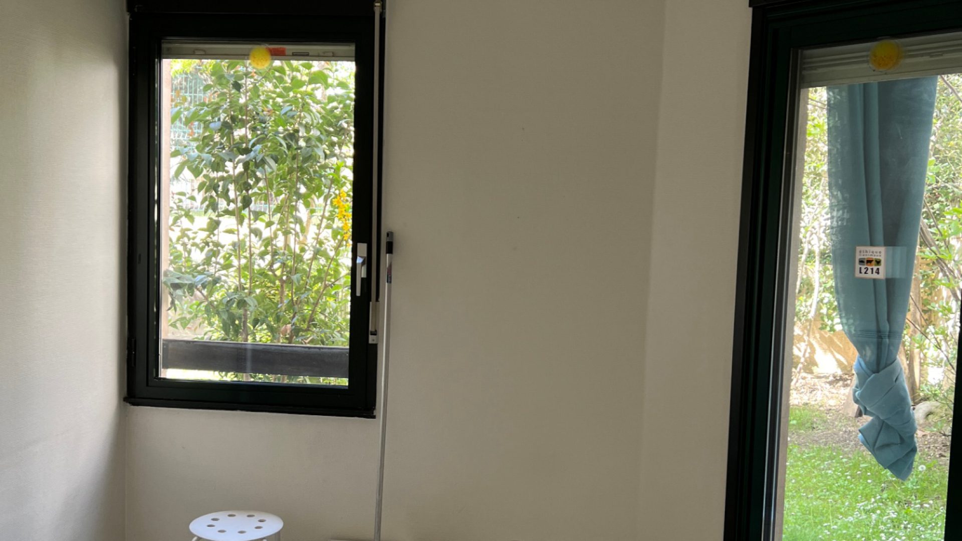 Image-Compressor.org_1500KB_IMG_6182